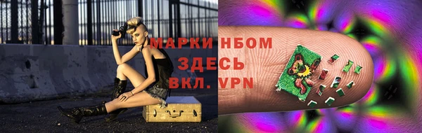 шишки Белоозёрский