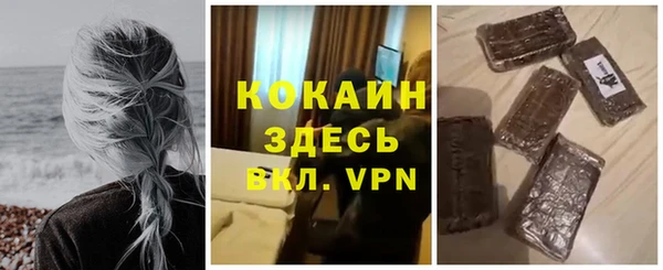шишки Белоозёрский