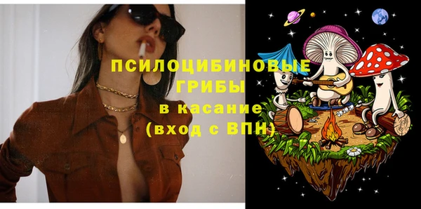 шишки Белоозёрский