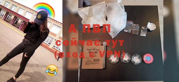 шишки Белоозёрский